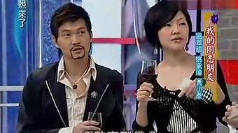 中国男同性恋视频,探索中国男同性恋群体的生活与情感世界