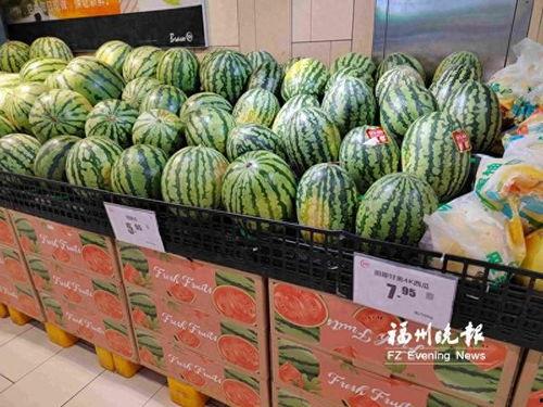盐城小白瓜今日收购价格,行情稳健，瓜农笑开颜
