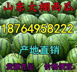 大棚瓜今日价格,今日大棚瓜价格行情一览