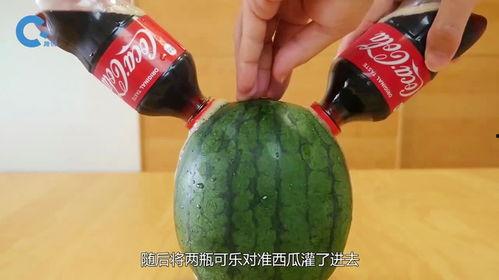 吃黑瓜会上火吗女生,黑瓜食用对女生上火影响解析