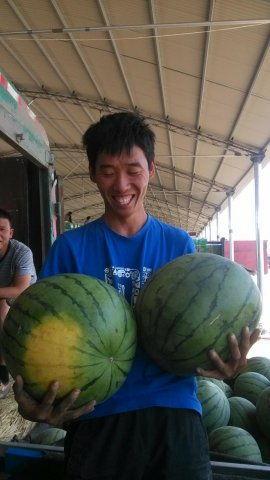 青州今日瓜价,今日瓜价行情一览”