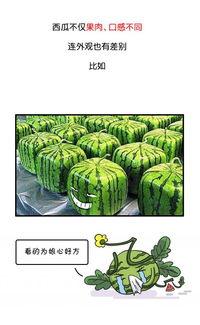 朝阳群众网红爆料吃瓜,真相大白！
