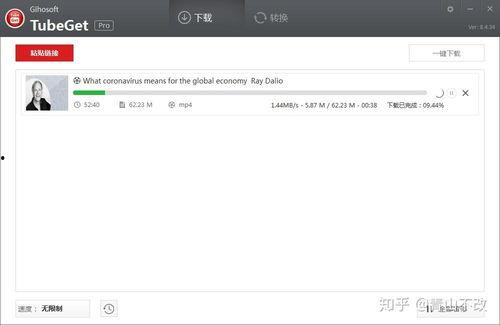 youtube视频怎么下载,视频内容摘要技巧