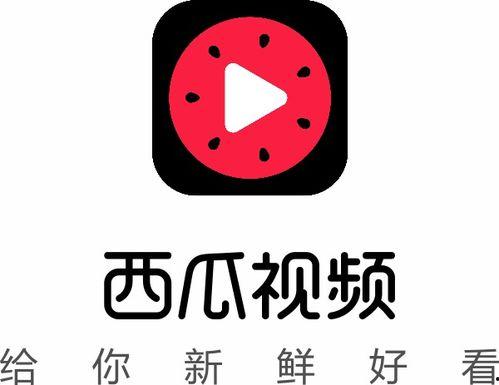 懵圈吃瓜今日头条,揭秘今日头条热门话题背后的真相