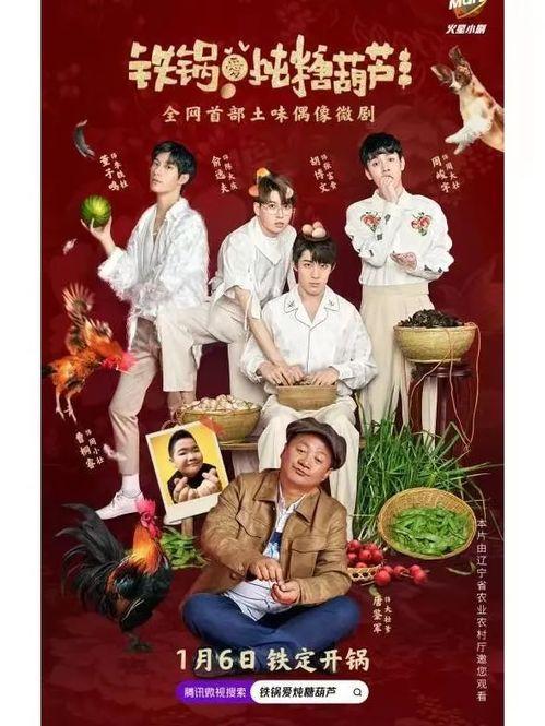 双渗透视频,视频深度解析