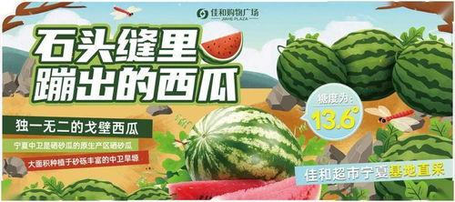 51热门大瓜今日必吃,今日必吃新鲜资讯大盘点