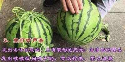 怎么爆料到吃瓜,吃瓜群众如何成为信息源头