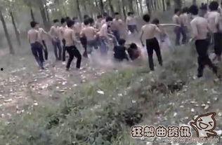 打群架视频,揭秘打群架视频背后的惊心动魄