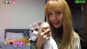 Lisa今日吃瓜,娱乐圈新鲜事盘点