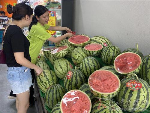 宁夏麒麟瓜今日价格