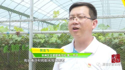 陕西华州瓜坡今日头条,瓜坡镇新鲜资讯速览