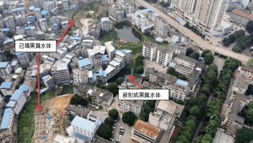 吃瓜黑网爆料最新耒阳市,吃瓜黑网爆料揭秘