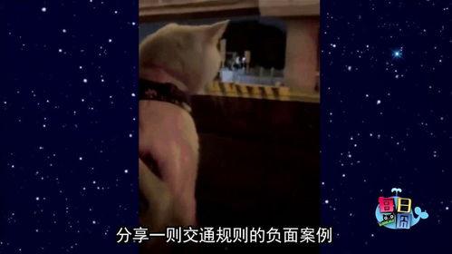 男人和女人睡觉视频,真实情感与生理反应的交织