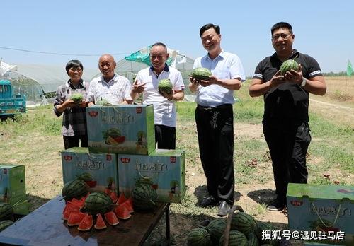 青岛市南区吃瓜爆料事件,揭秘背后真相与网络热议