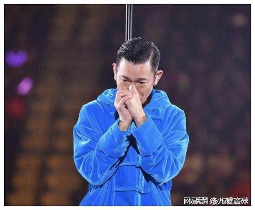 刘德华演唱会视频,视听盛宴，经典重现