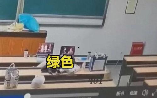 教室门视频,一窥校园日常瞬间