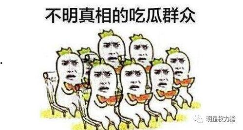 吃瓜群众网红爆料视频,吃瓜群众视角下的娱乐圈风云