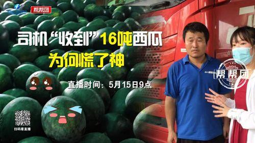 吃瓜爆料今日,吃瓜爆料，明星幕后真相大曝光！