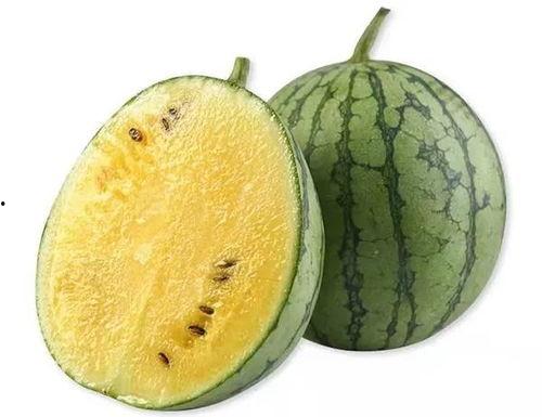 今日武威黄 瓜价格,品质佳品受热捧，价格走势分析”