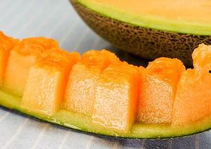 缅甸蜜瓜今日价格,新鲜上市，品质优价实惠