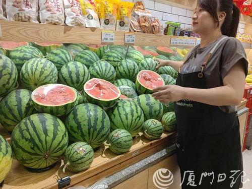 荷兰瓜今日价格行情,波动中寻求平衡