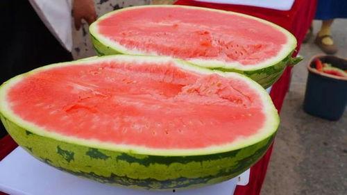 中卫硒砂瓜今日价,中卫硒砂瓜今日价格行情速览