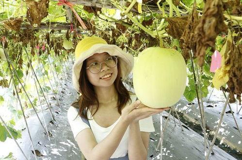 黑料吃瓜网曝一区二区,一区二区神秘事件，真相究竟如何？