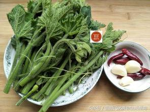 今日瓜尖价,今日市场热点价格一览