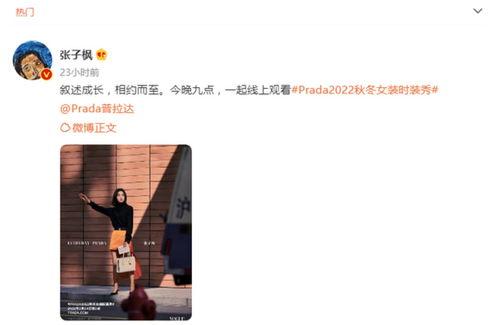 今日吃瓜热评最新消息,揭秘娱乐圈最新八卦风云