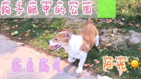 今日吃瓜每日吃瓜下一句,揭秘娱乐圈的瓜田秘闻