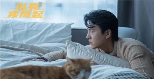 靳东吃瓜爆料,娱乐圈幕后真相大揭秘