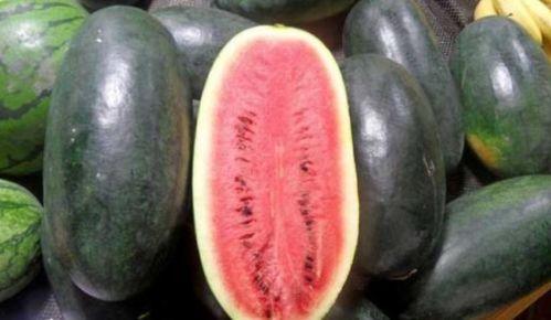 166.su 吃瓜黑,揭秘吃瓜黑背后的网络现象