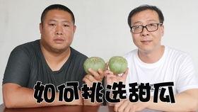 吃瓜的黑哥,网络红人的崛起与影响力