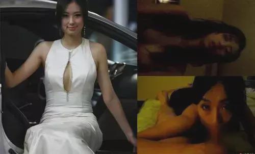 兽兽视频,揭秘动物世界的奇妙瞬间