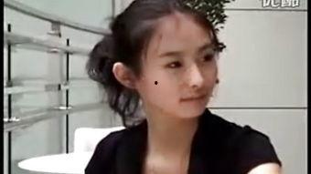 兽兽视频,揭秘动物世界的奇妙瞬间