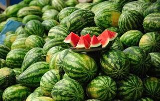 每日51cg10今日大瓜,揭秘娱乐圈最新热点事件