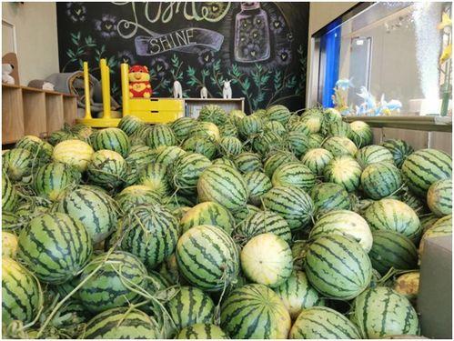 今日吃瓜官网最新,揭秘娱乐圈最新热点事件