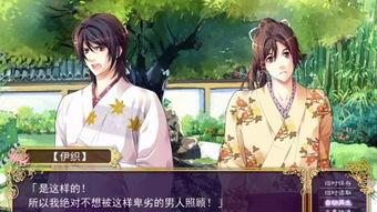 耽美视频,浪漫情缘，激情燃烧的青春岁月