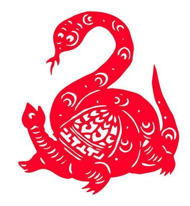 剪纸视频教程大全,从基础到进阶，解锁传统技艺之美