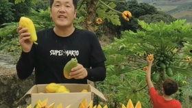 8月瓜的黑籽可以吃吗,8月瓜黑籽能否食用？