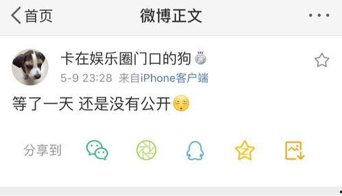 豪门爆料吃瓜系统,揭秘吃瓜系统背后的豪门秘闻