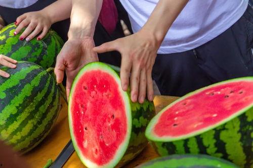 今日吃瓜大学生,吃瓜大学生热议校园新鲜事