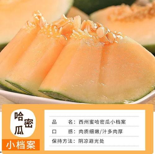 今日海南哈密瓜最新批发,甜蜜滋味席卷市场