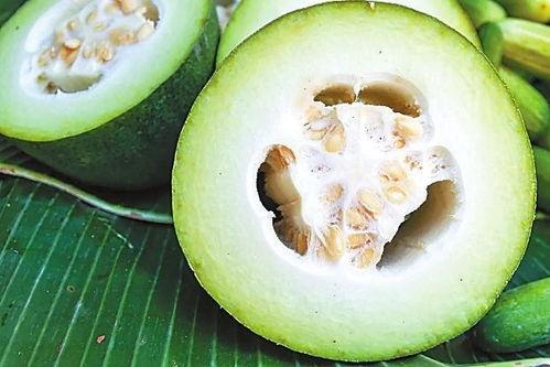 阿瓜吃黑蒜,阿瓜的神奇黑蒜之旅