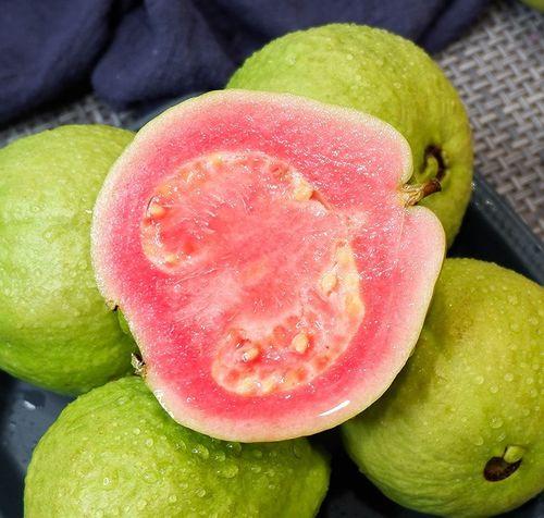 芭乐视频,揭秘热门短视频背后的魅力与影响力