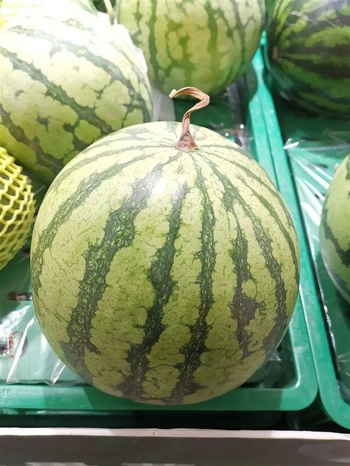 今日吃瓜大瓜每日更新,新鲜热辣，揭秘娱乐圈最新动态