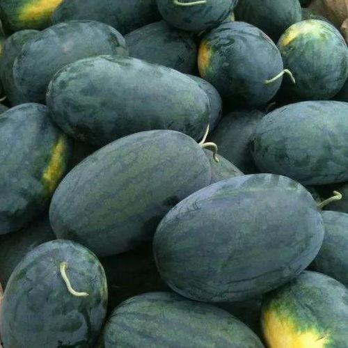 汝州黑妮吃瓜事件,一场网络热议的瓜田风波