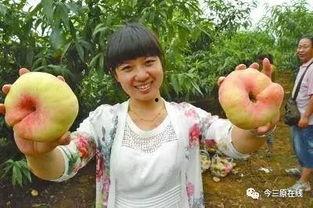 汝州黑妮吃瓜事件,一场网络热议的瓜田风波