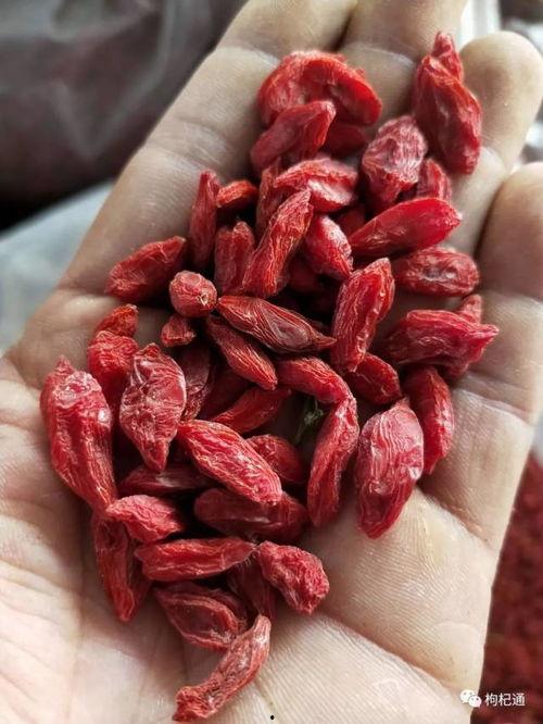 今日瓜州枸杞价格走向,今日市场行情解析