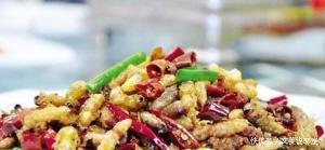 瓜黑蝽如何吃,揭秘其独特的取食技巧